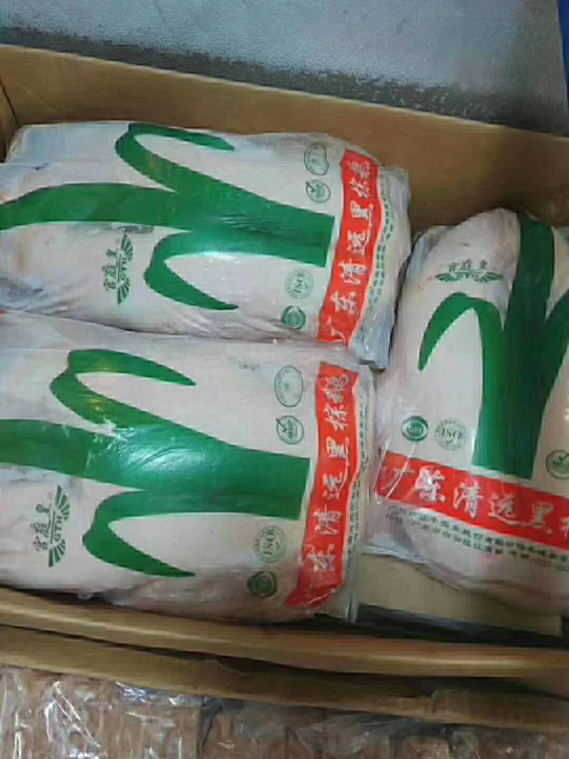 广东黑棕鹅，正宗黑棕鹅，新鲜鹅条保质保量量大价优