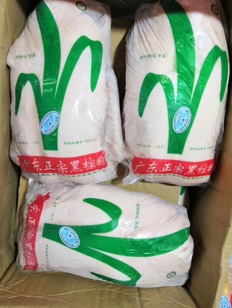 广东黑棕鹅，正宗黑棕鹅，新鲜鹅条保质保量量大价优
