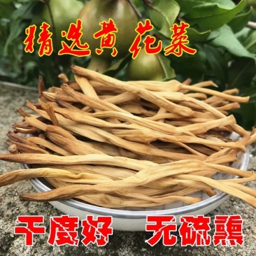 【一手货源】陕西黄花菜货源稳定量大支持批发量大价优