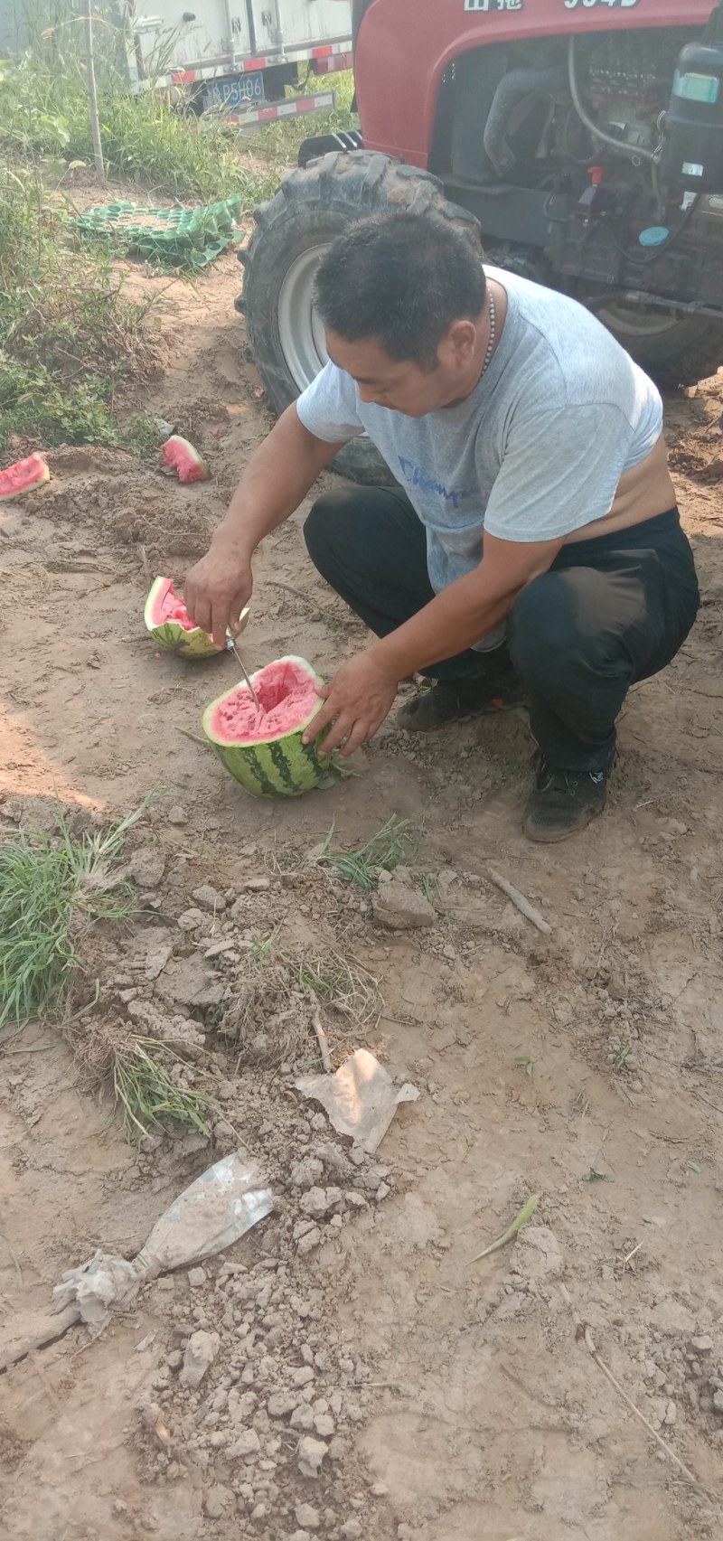 西瓜又降价