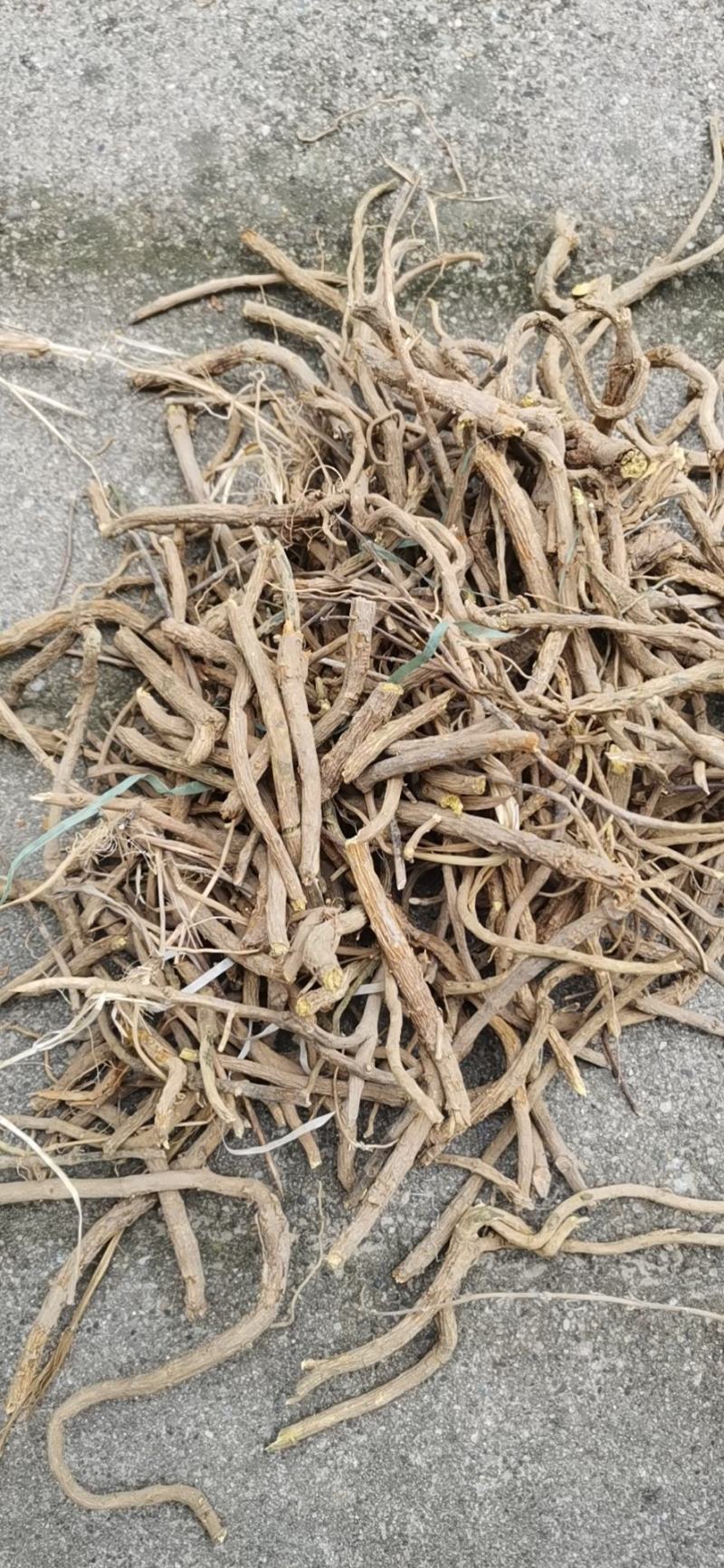特价黄芩货原产地，黄芩干个，黄芩，产地供应量大从优