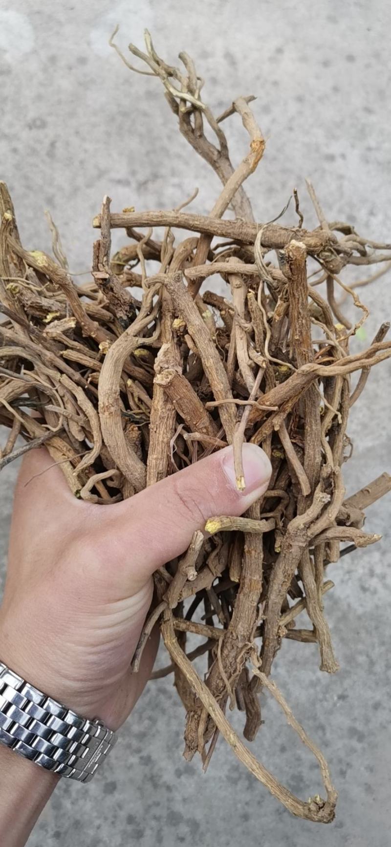 特价黄芩货原产地，黄芩干个，黄芩，产地供应量大从优