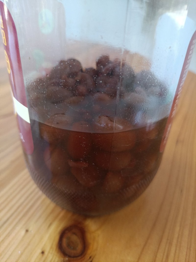 新品种紫肉黄皮果营养杯苗