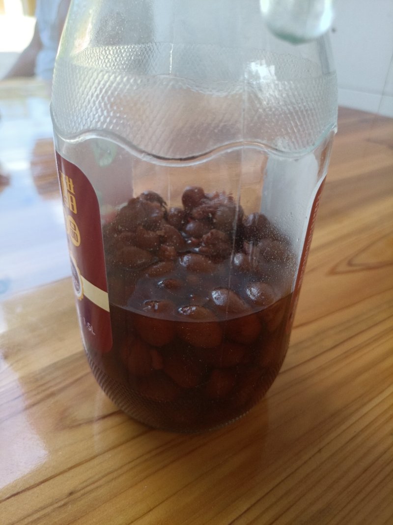 新品种紫肉黄皮果营养杯苗