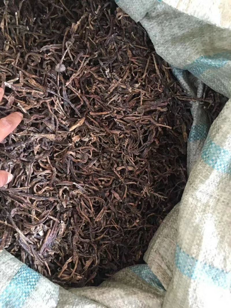 广东地龙干，钓鱼鲜活专用，都是当天的货