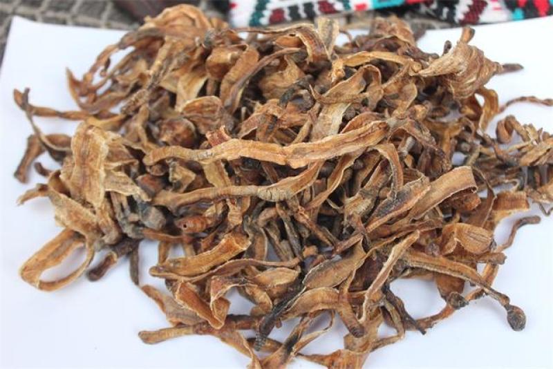 广东地龙干，钓鱼鲜活专用，都是当天的货