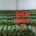 云南精品长豆角，长豇豆，一手货源，新鲜60～80com