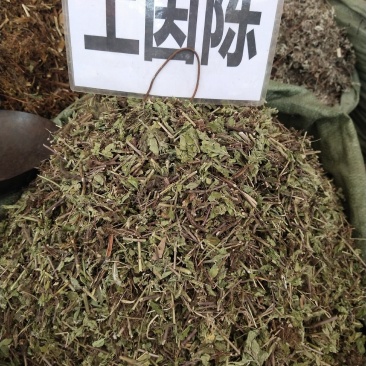 土茵陈（牛至）纯野生，一斤起售，量大优惠