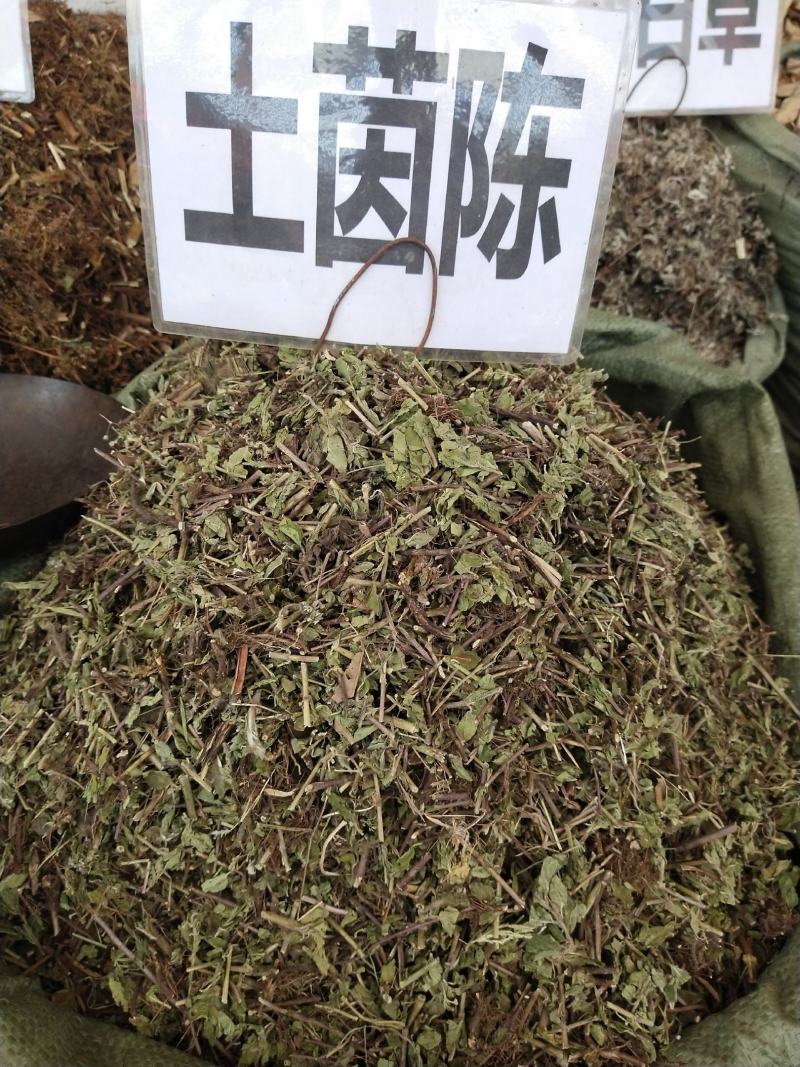 土茵陈（牛至）纯野生，一斤起售，量大优惠