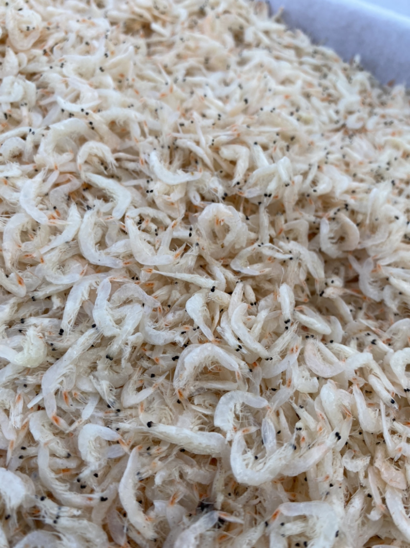 淡干虾皮（南方虾皮，低盐，干度好）质量保证