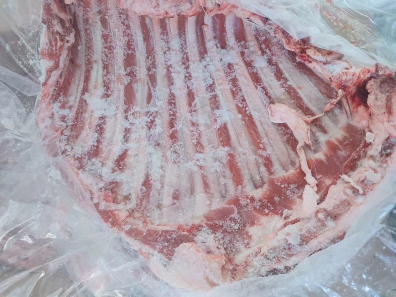 长年批发零售锡盟羔羊羊排，照片实物拍摄质量保证