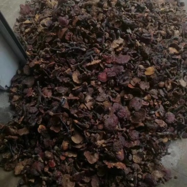 灵芝，赤芝，干灵芝野灵芝，湖北灵芝