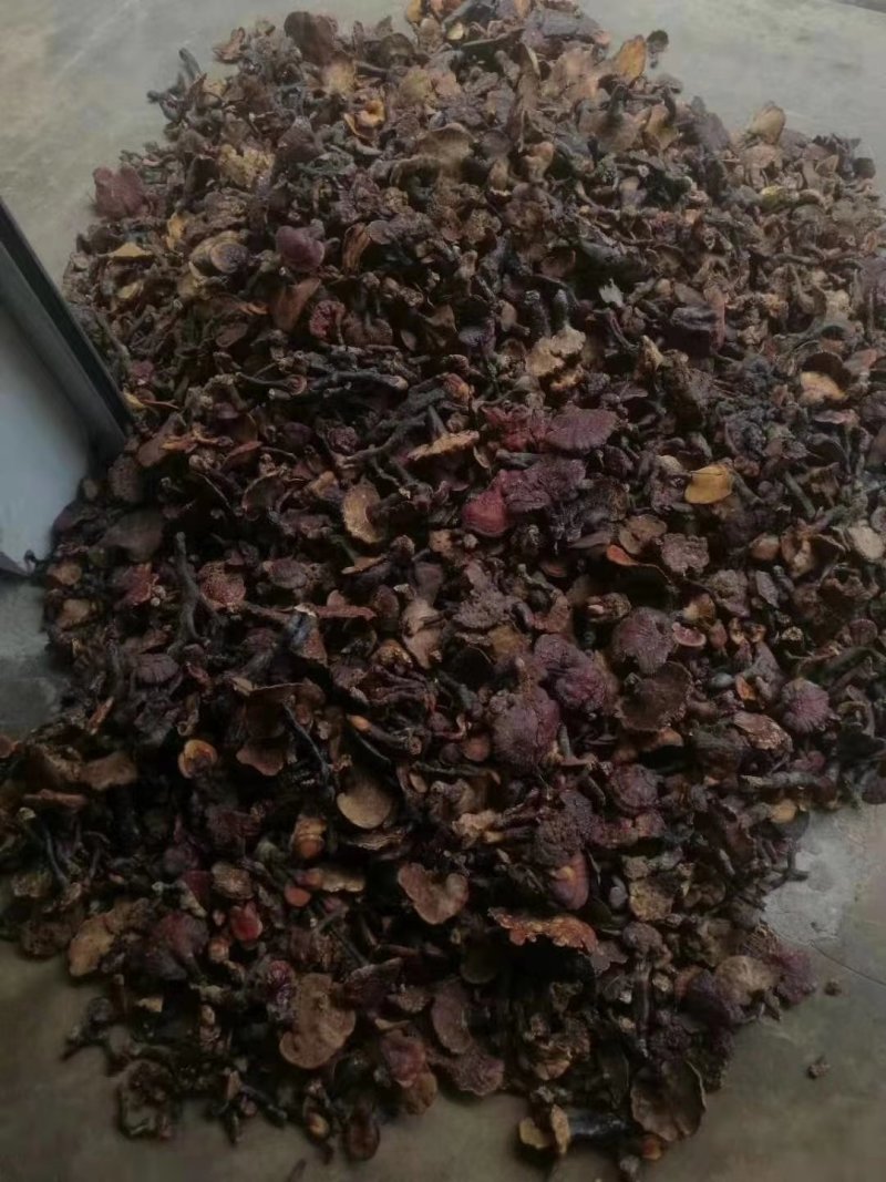 灵芝，赤芝，干灵芝野灵芝，湖北灵芝