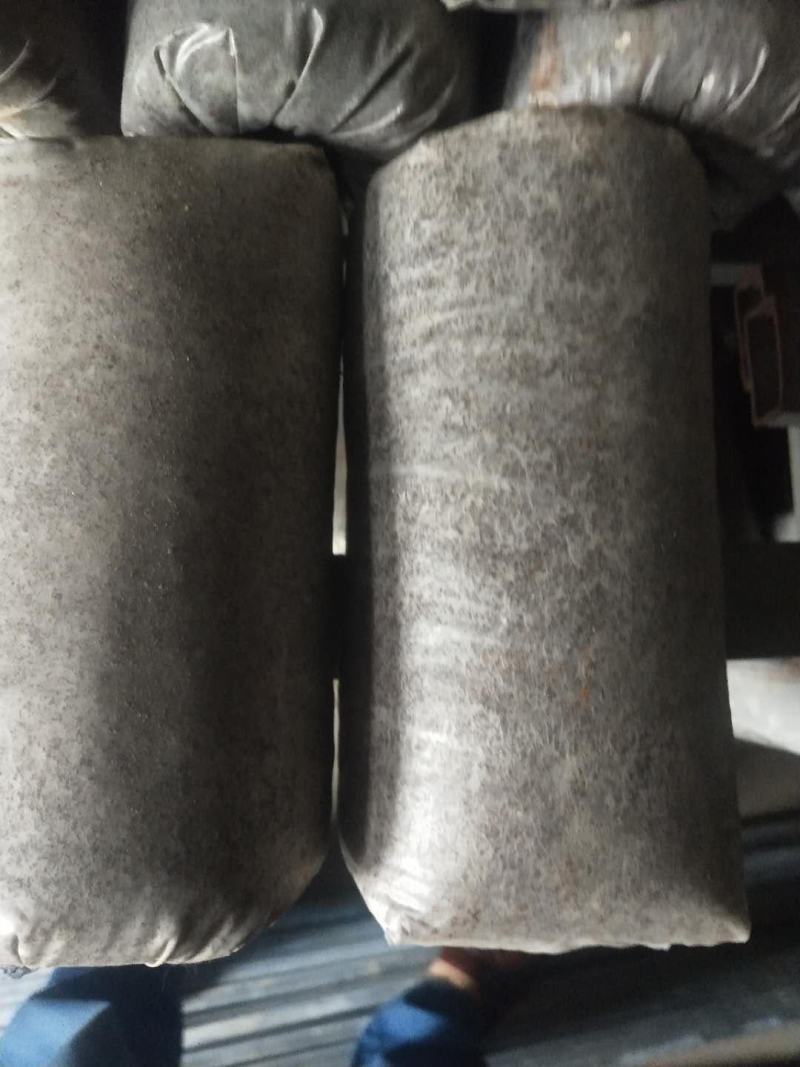 大球盖菌种（赤松茸）三级种栽培菌种菌包欢迎咨询
