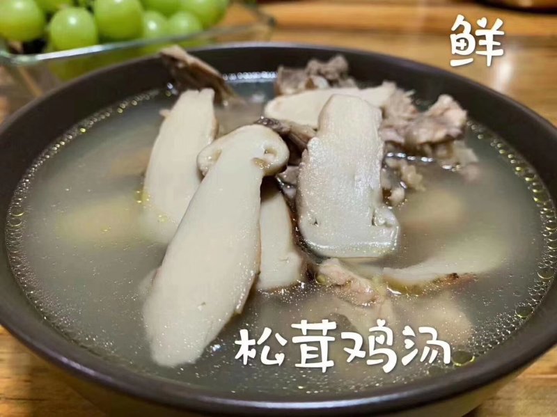 云南香格里拉野生松茸