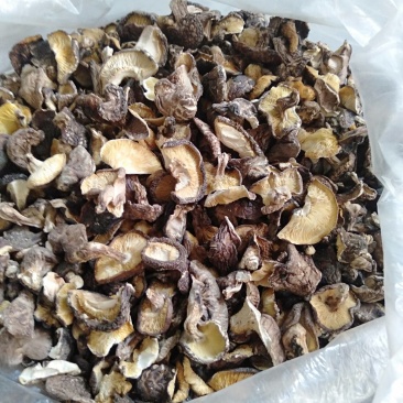 原木香菇片，香菇碎，大量批发零售…………