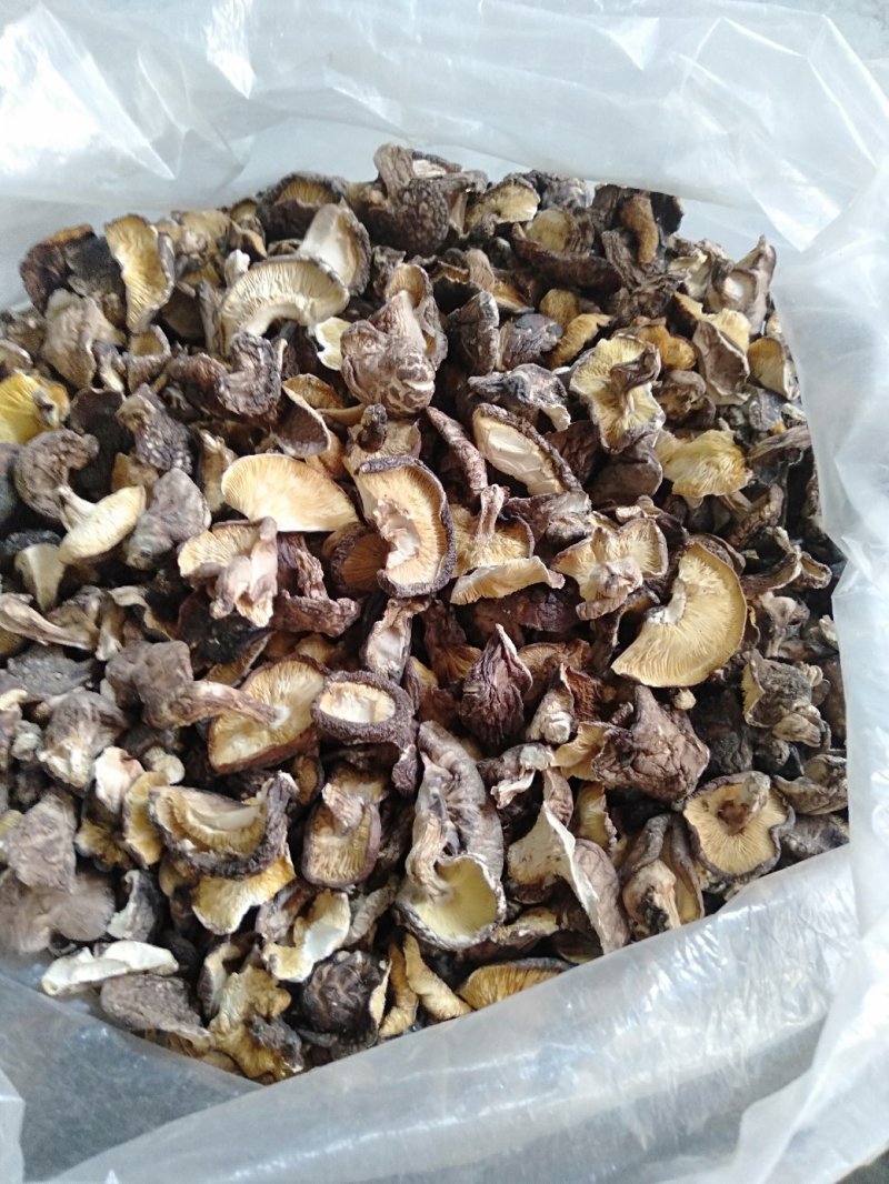 原木香菇片，香菇碎，大量批发零售…………