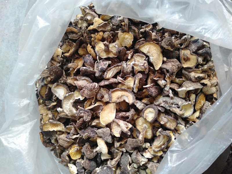 原木香菇片，香菇碎，大量批发零售…………