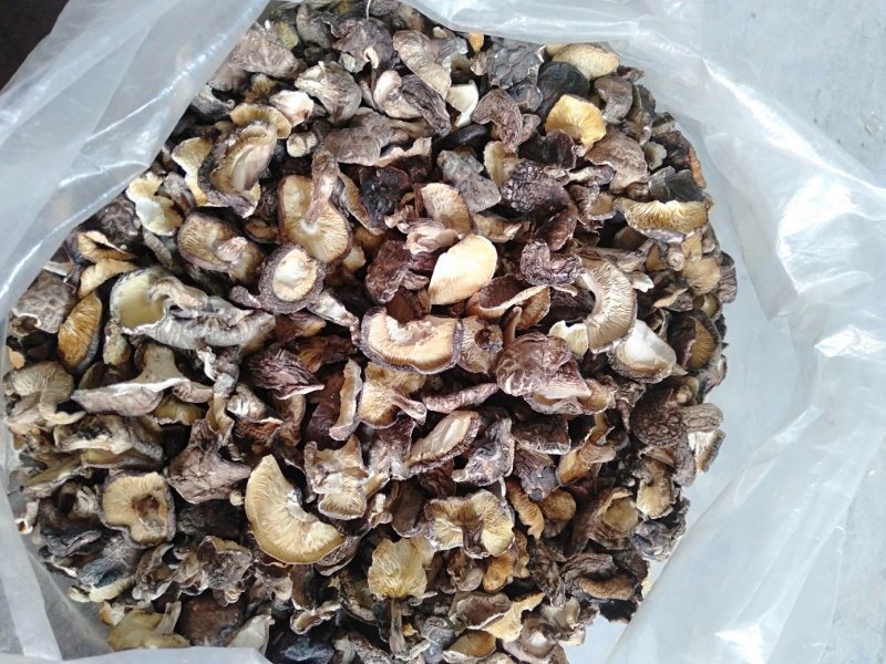 原木香菇片，香菇碎，大量批发零售…………