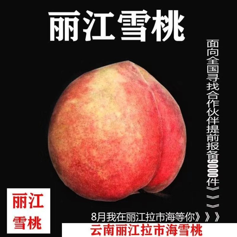 丽江雪桃—国宴用桃
