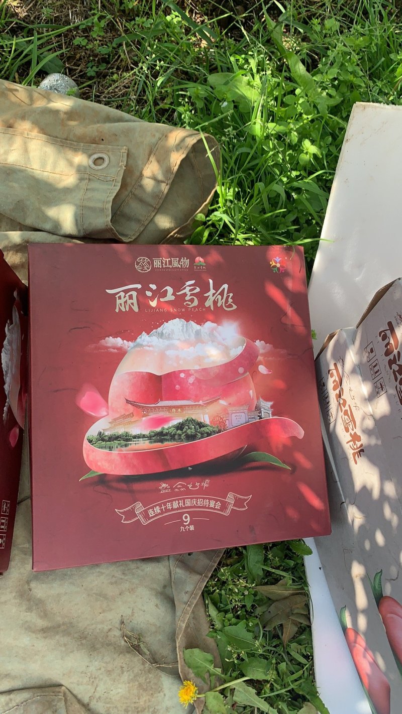 丽江雪桃—国宴用桃