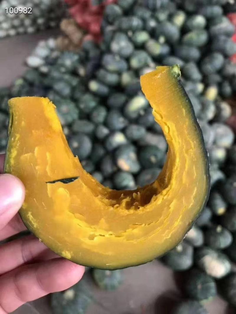 板栗南瓜一件代发