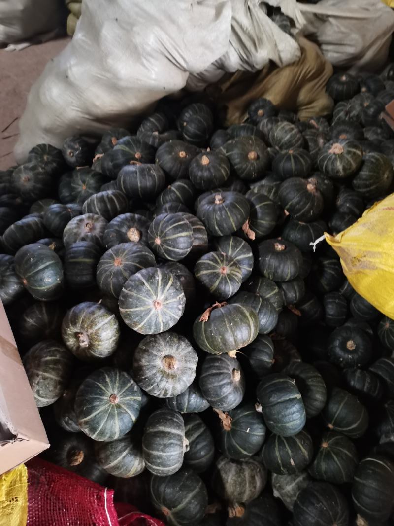 板栗南瓜一件代发