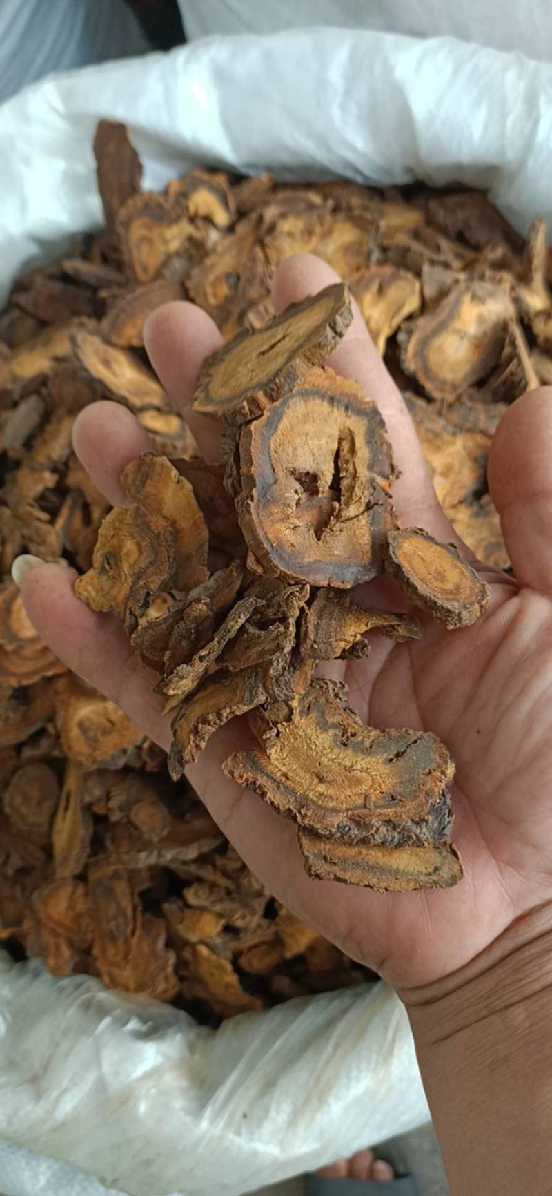 中药材大黄优质生大黄片生大黄非土大黄
