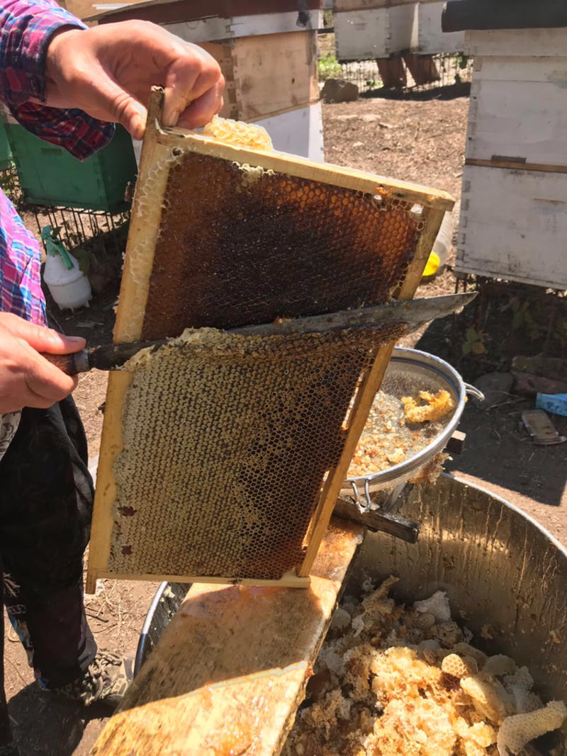 黑龙江蜂蜜东北特产可视频看货百花蜜土蜂蜜全国包邮
