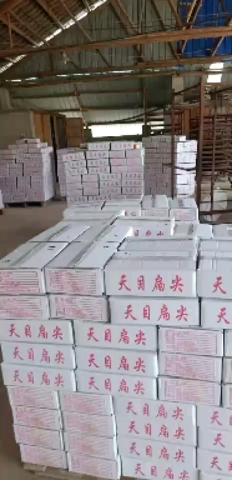 【五斤装】批发竹笋干尖笋天目山笋干散装支持定做量大优先