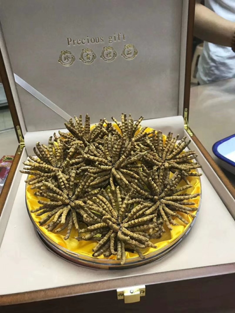 果洛，玉树冬虫夏草喜欢的下单