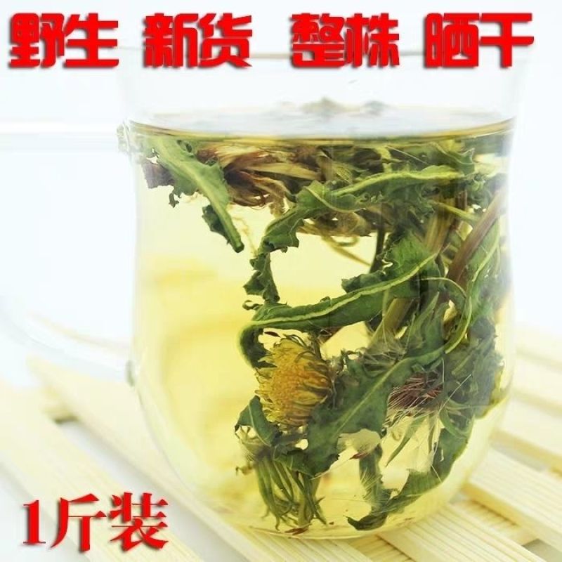 蒲公英,干婆婆丁,干净,泡茶养生,家庭常备蒲公英整棵