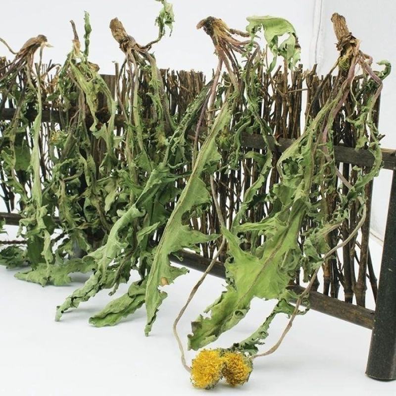 蒲公英,干婆婆丁,干净,泡茶养生,家庭常备蒲公英整棵