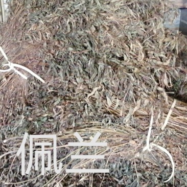 【佩兰】支持一件代发不包邮量大从优