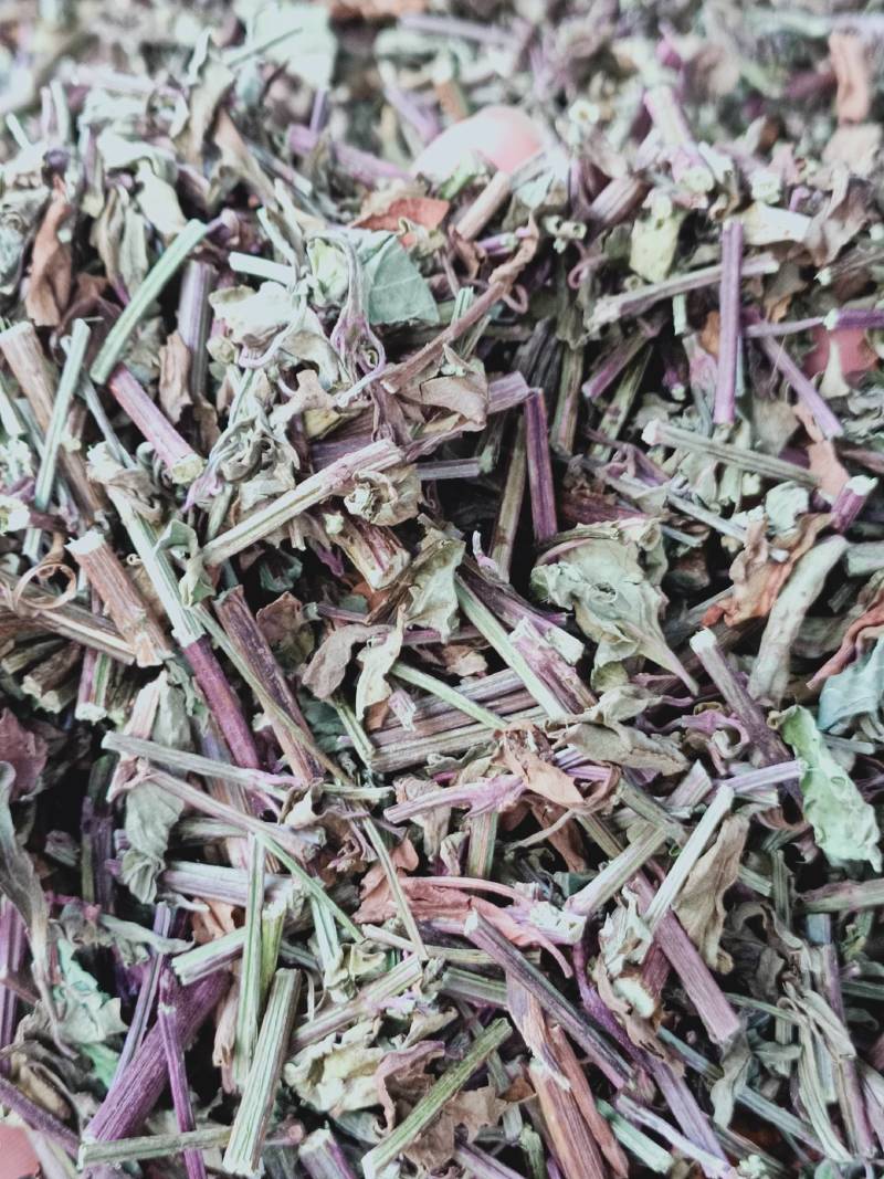 广西猫须草天然野生新货中药材