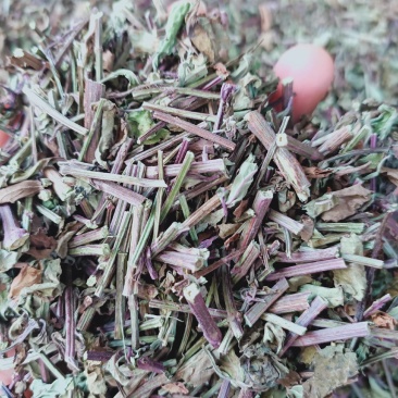 广西猫须草天然野生新货中药材