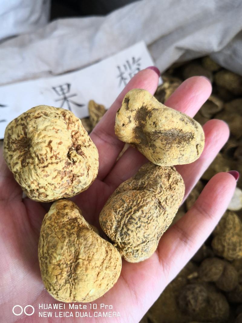 金果榄品质好个子切片量大从优