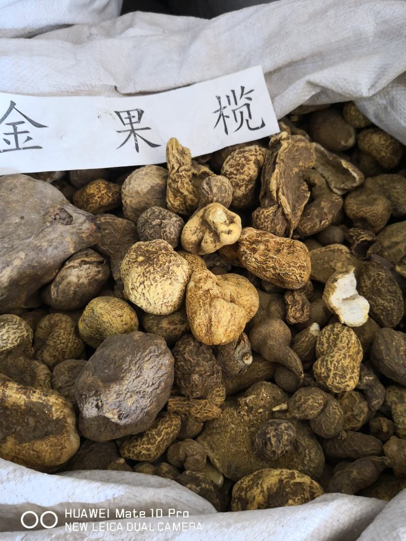 金果榄品质好个子切片量大从优