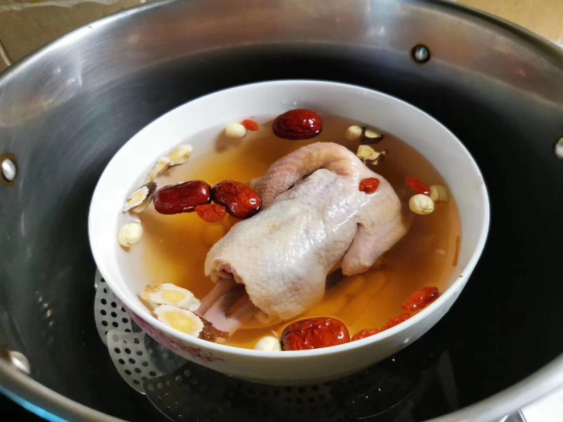 白条鸽