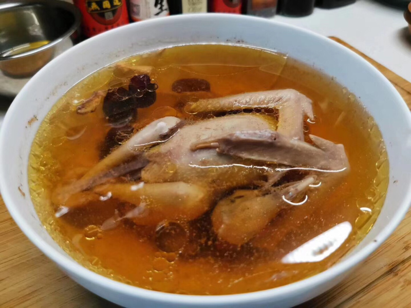 白条鸽