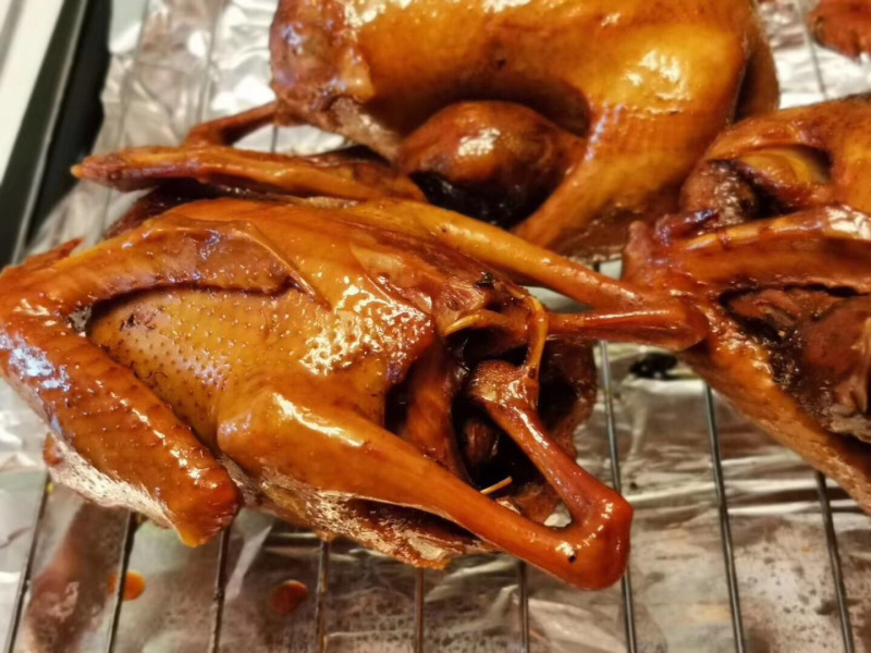 白条鸽