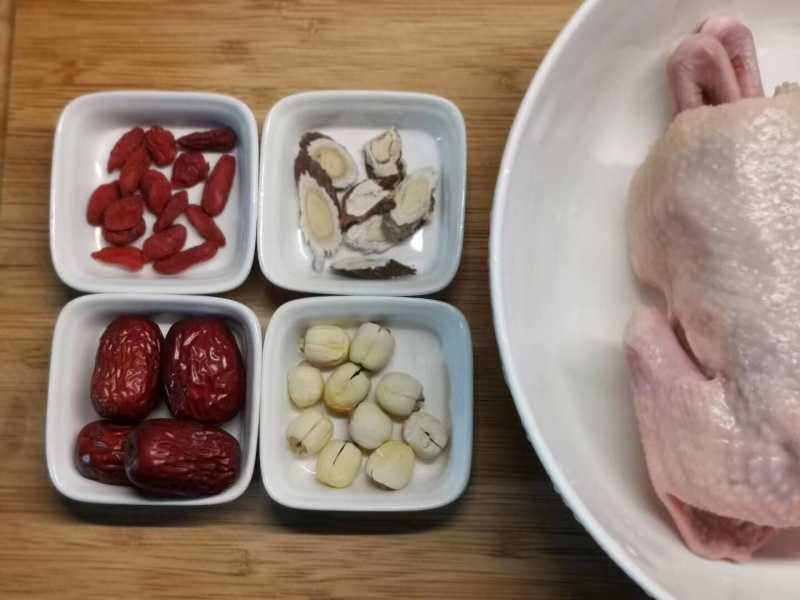 白条鸽