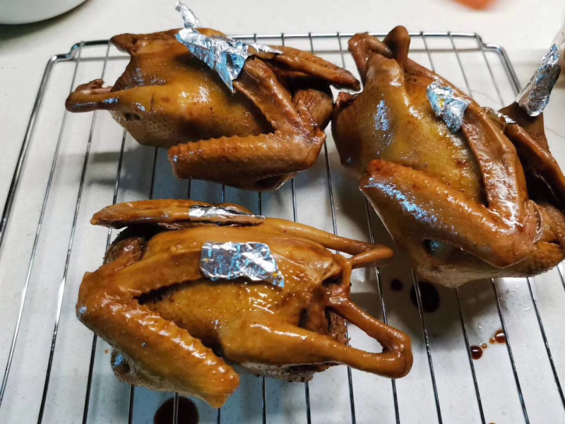 白条鸽