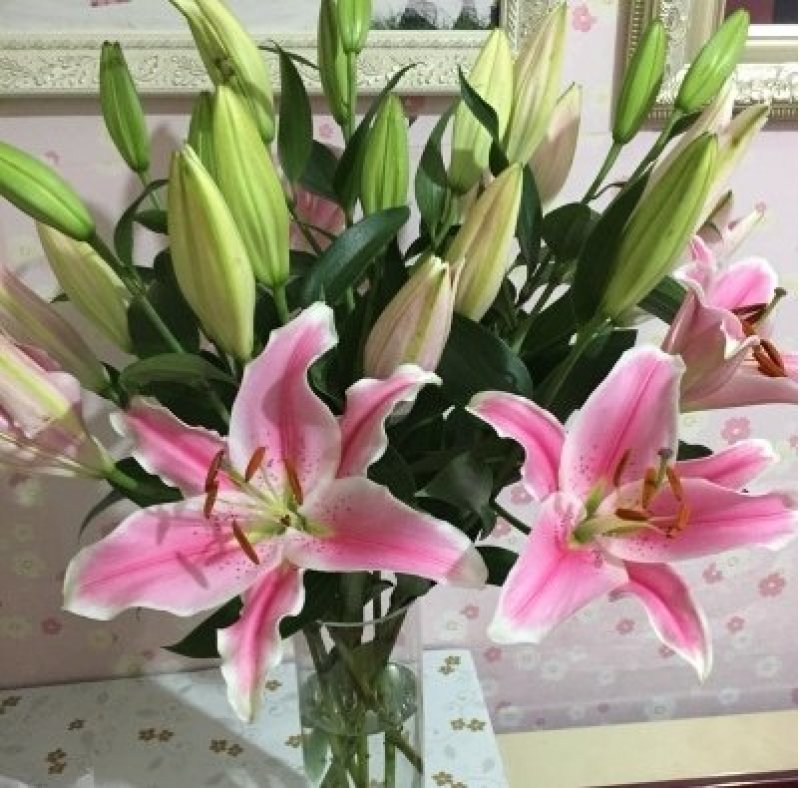 百合鲜切花云南基地直发支持一件代发社区团购