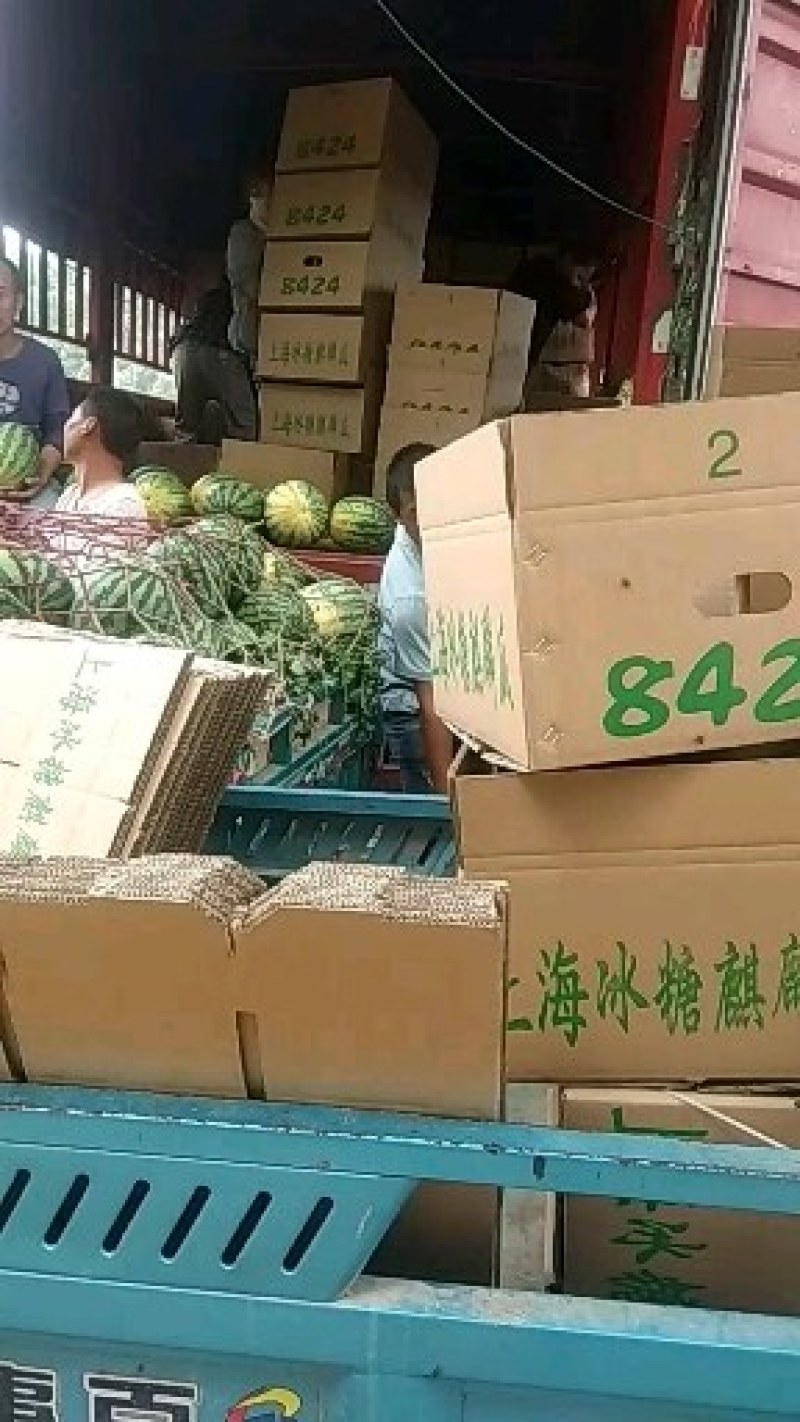 西瓜大量供应口感很好欢迎选购
