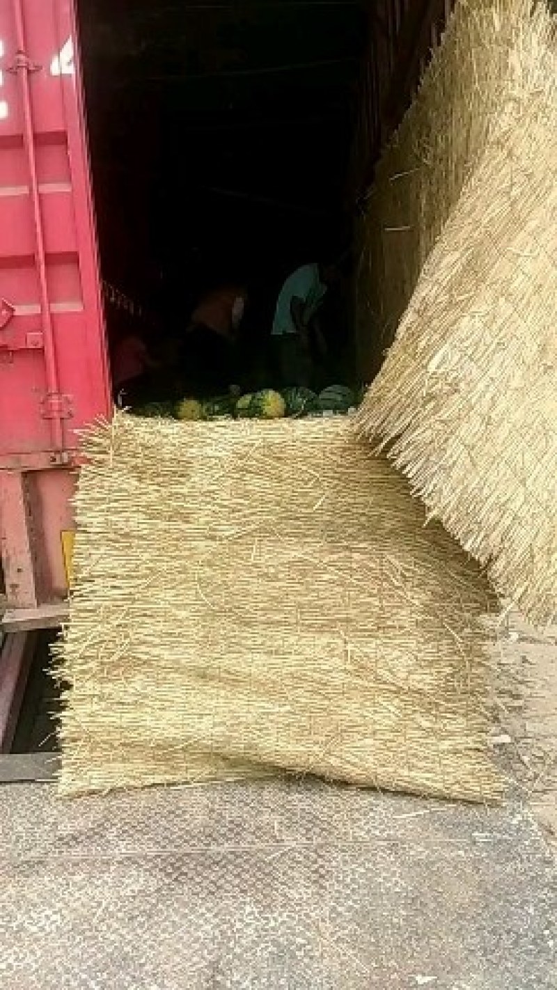 西瓜大量供应口感很好欢迎选购
