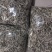 普洱毛尖茶，纯手工加工