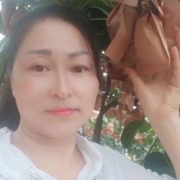 西红柿基地直供，保质保量支持发货欢迎咨询订购
