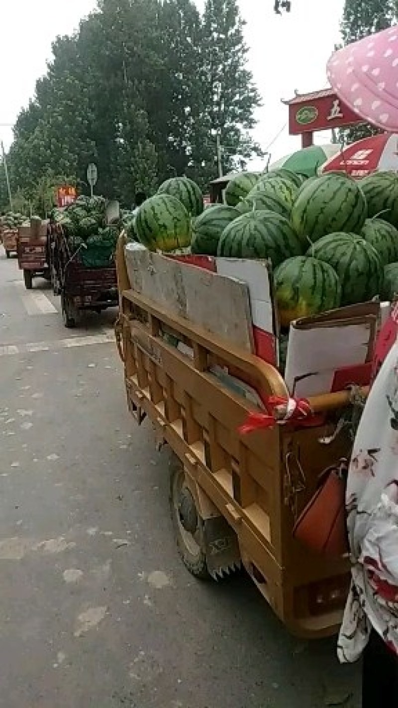 玉麒麟西瓜大量供应中口感很好