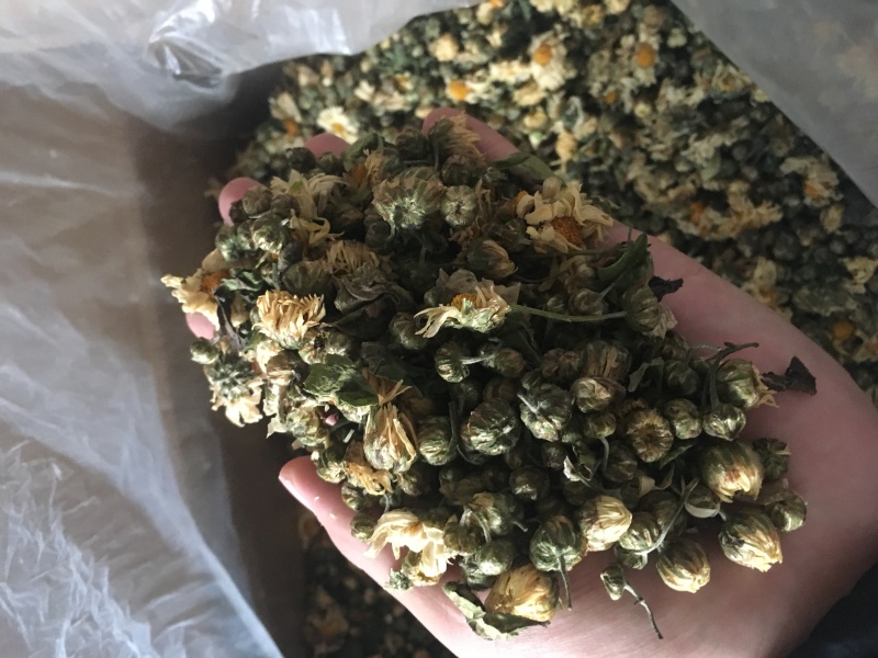 苏北菊胎菊大货每件10公斤质量中等产地直供批发价